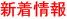 �X�V����